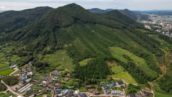 장성군 영천리 제봉산
