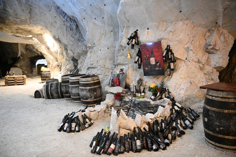 와인 셀러인 ‘와인D’