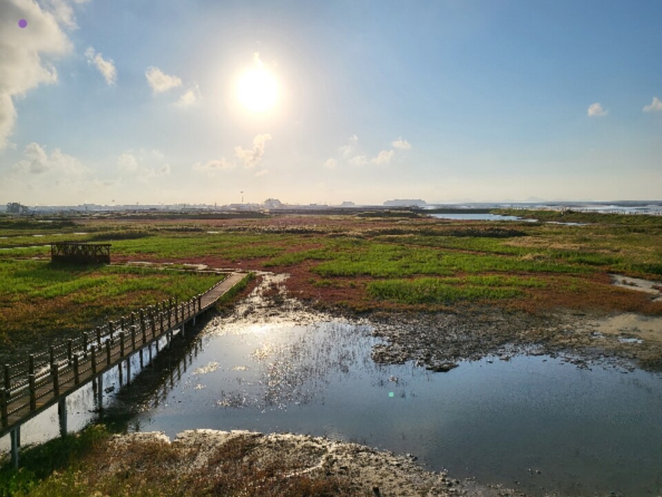 유네스코 세계자연유산 고창갯벌의 핵심 지역인 두어마을 ⓒ 고창군