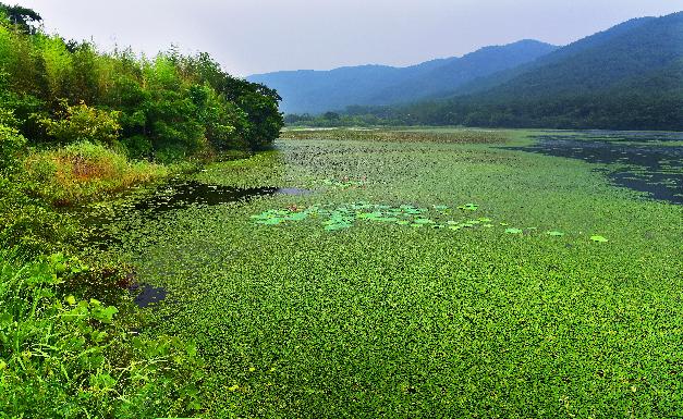 다양한 생태계를 품은 운곡람사르습지는 보전 가치가 크다. ⓒ 고창군