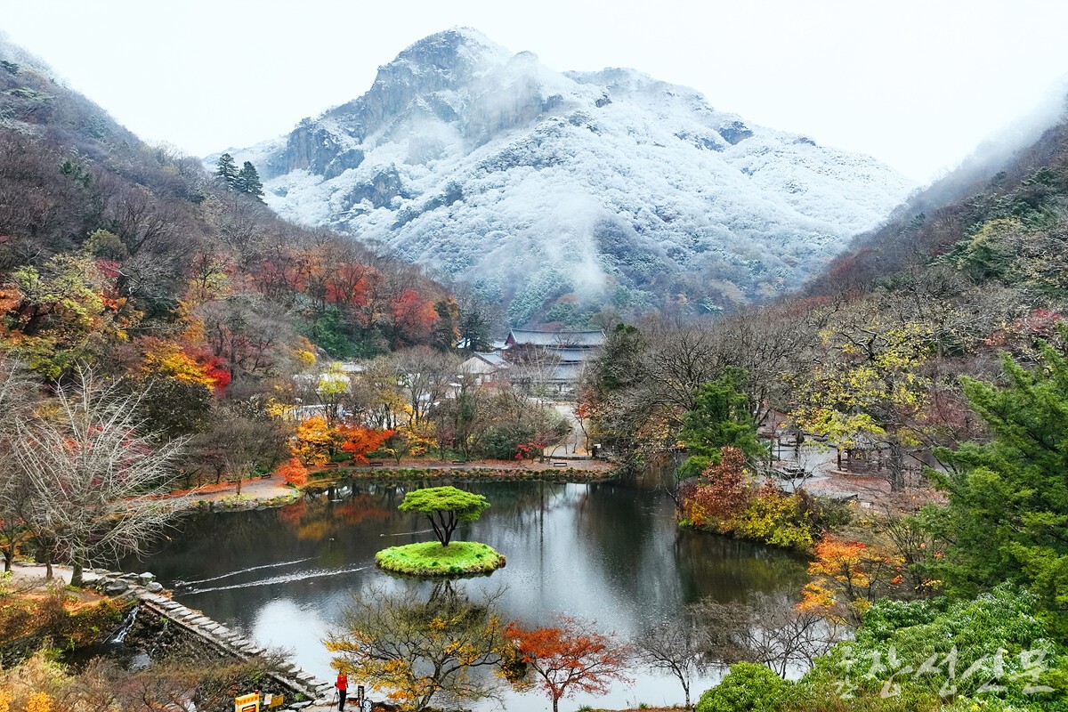 김상열 작 가을과 겨울 사이