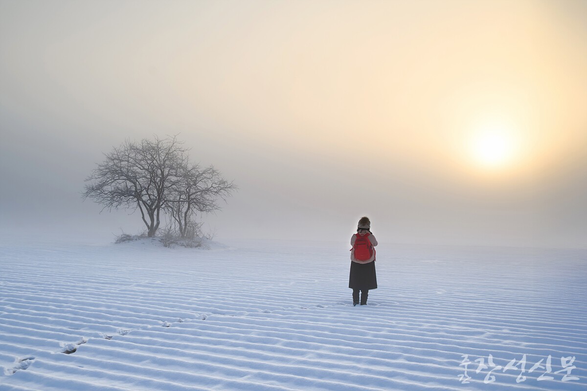 신기민 작 계절을 걷다